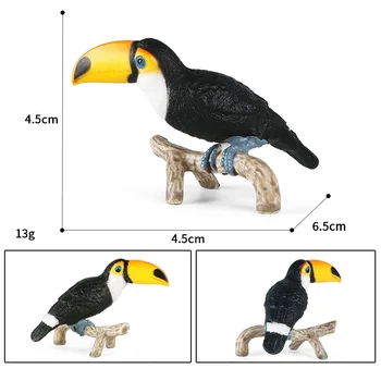 Savvaļas Putni, Dzīvnieki, Statiskā Modelēšana Toucan Rotaļlietas Dzīvnieku Modeļa Darbības Attēlā Izglītības, Zinātnes, Izglītības Putnu Dāvanas/Komplekts