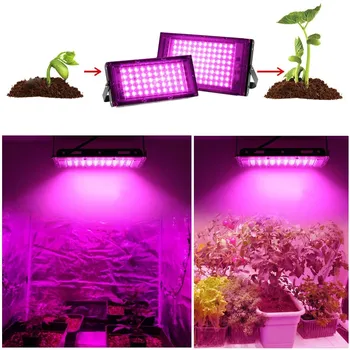 Pilna Spektra LED Augt Gaismas Ar Statīvu AC220V Fito Lampa Ar On/Off Slēdzis Siltumnīcefekta Hidroponiskas Augu Augšanas Apgaismojums