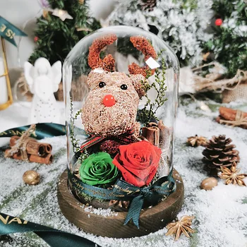 Jaunais Ziemassvētku Dāvanas Elk Mūžīgā Roze Stikla Kupola Sausie Ziedi Apdare Dzimšanas Dienu, Valentīna Dienas Dāvana Sievietēm Draudzene