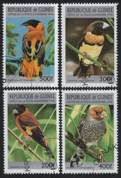 4gab/Set Pērļu Pēc Markas 1996 Putni tiek Izmantoti Pēc Atzīmēti Pastmarkas Savākšanai